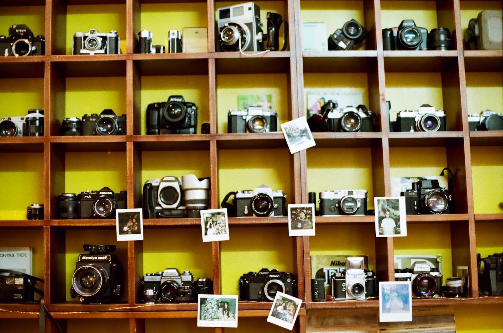 Assorted Camera on Brown Wooden Shelf